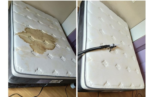 Imagem 1 de 3 de Limpeza E Higienização