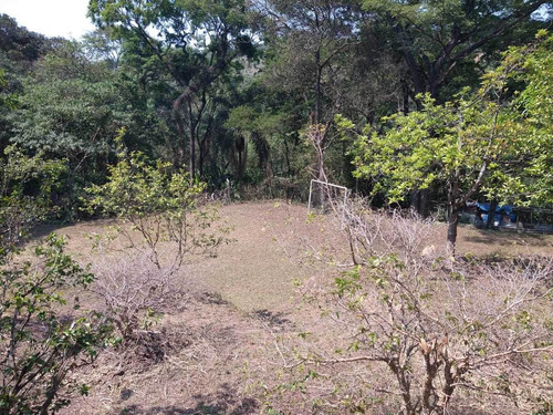 Imagem 8 de 10 de Chácara Araçariguama