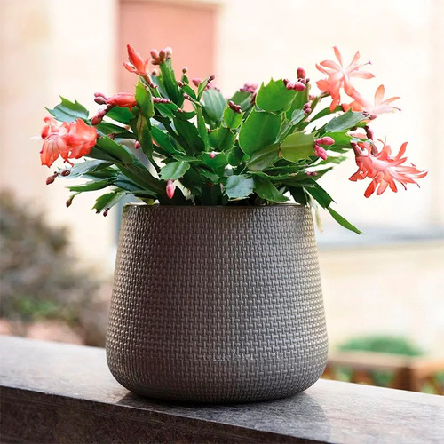 Maceteros De Plastico Medianos Decoracion Hogar- Jardin