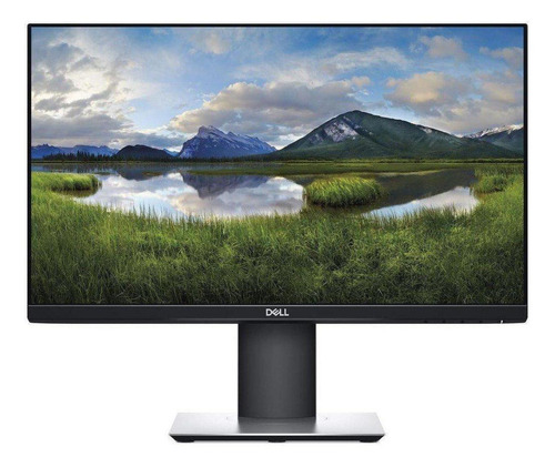 Monitor Dell Professional P2319H led 23" negro 100V/240V