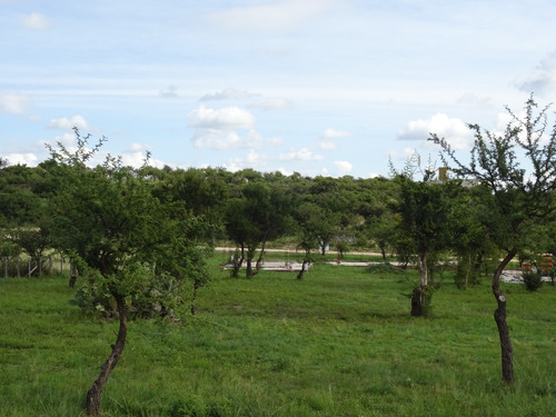 Lote 1600 Mts En Aguas Blancas - Cortaderas
