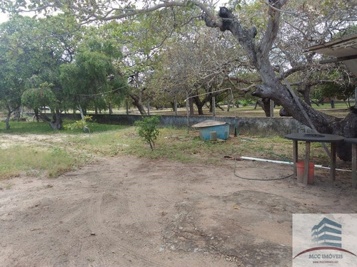 Imagem 3 de 8 de Granja A Venda São Gonçalo Do Amarante