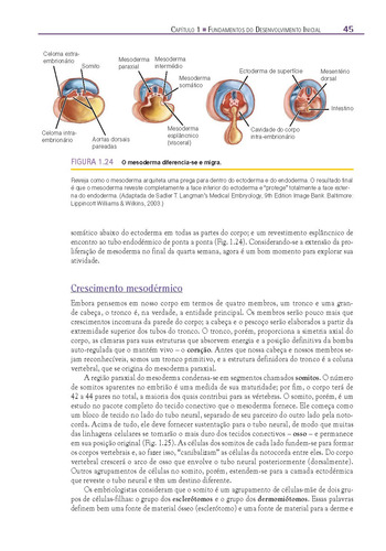 Fundamentos em Anatomia, de Hartwig, Walter C.. Editorial ARTMED EDITORA LTDA.,Lippincott Williams & Wilkins/Wolters Kluwer Health Inc., capa dura em português, 2008