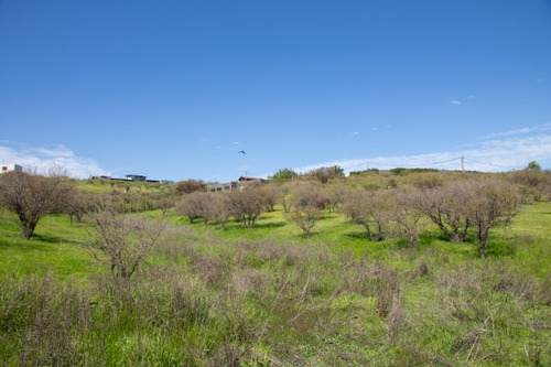 Venta Parcela En Limache, En Condominio Santa Teresa