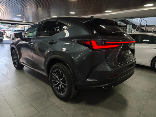 Lexus NX 2.5 Nx 250 Awd