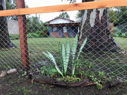 Imagen 9 de 15 de Alquilo Casa En El Campo ( San Miguel Del Monte )