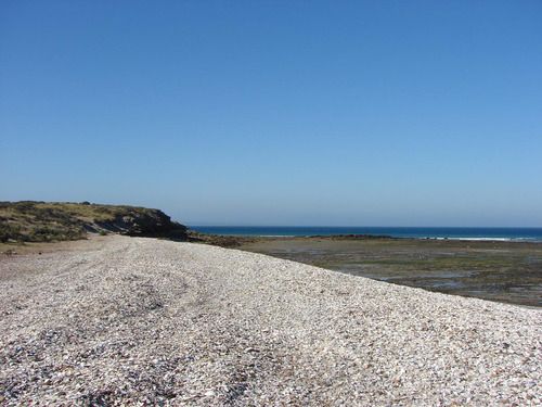 Inmobiliaria Comodoro - Peninsula Valdés - Refugio De Vida Silvestre - Permutas