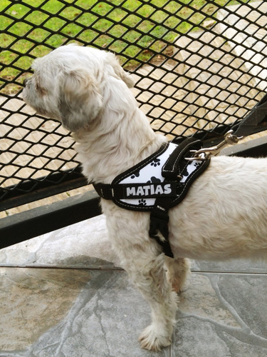 Imagen 5 de 10 de Arnes Pretal Acolchado Para Perros Con Parche Reflectivo