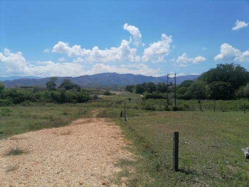 Vendo Lote En Carmen De Apicala