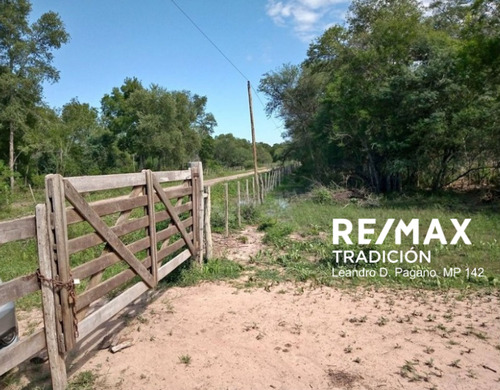 Venta Campo En Selvas Del Rio De Oro - Chaco 