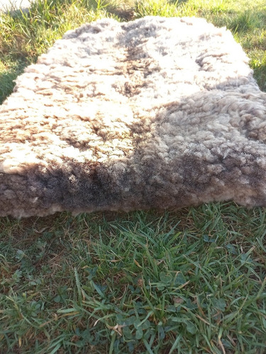 Imagen 8 de 9 de Cojinillo O Pelego Negro