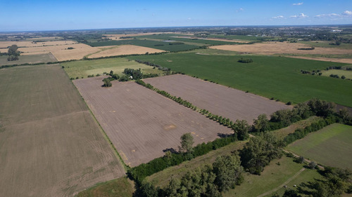 Campo En Venta 25ha En San Andres De Giles