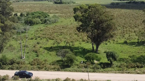 Chacra De 3 Hectareas Arbolada