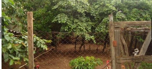 Casa Com 2 Quartos Para Comprar No Betânia Em Belo Horizonte/mg - 1523