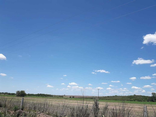 Campo Agricola En Venta En Villa Del Totoral Gutierrez 250ha