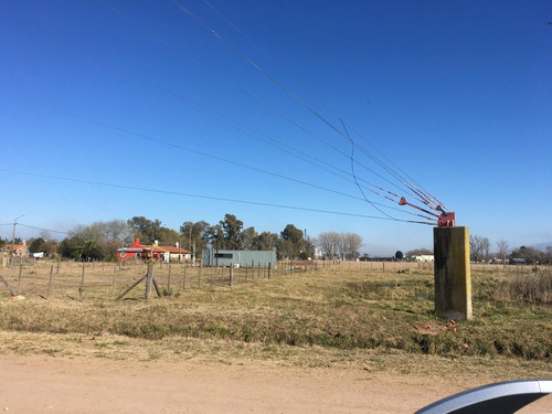 Imagen 4 de 11 de Terreno 20x50 En Tres Sargentos, Carmen De Areco