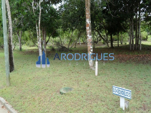 Imagem 10 de 20 de Ótimo Terreno À Venda Localizado Em Trancoso Todo Documentado E Levantamento Topográfico! - Te00126