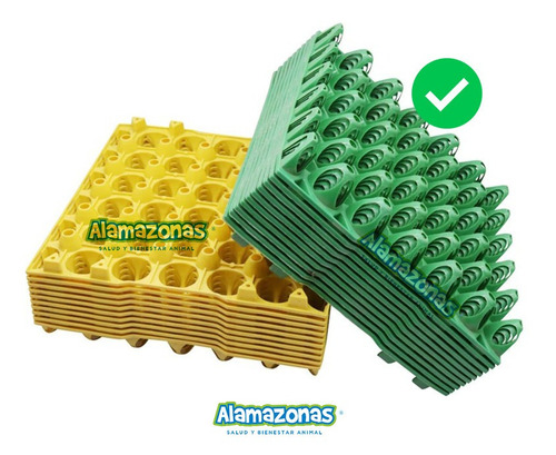 Kit 2 Charolas Filler 30 Huevos Codorniz Incubadora