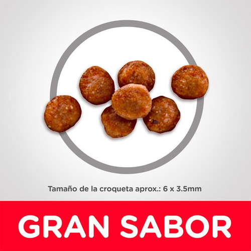 Alimento Hill's Science Diet Hill's Science Diet Indoor Para
