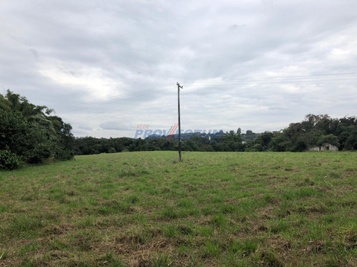 Imagem 3 de 4 de Área À Venda Em Rio Abaixo - Ar269352