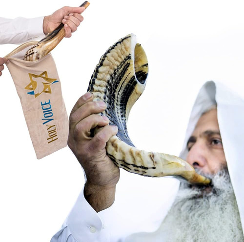 Cuerno Shofar Kosher Ram Natural De Israel 24-26 Plg