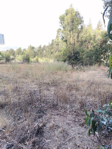 Parcela En Venta En Bosque De Mantagua Concon
