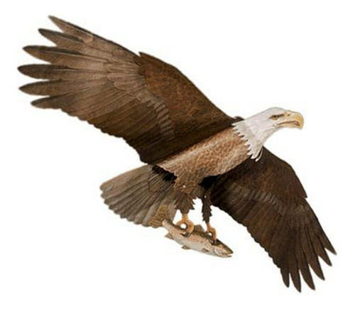 Jackite American Bald Eagle Kite