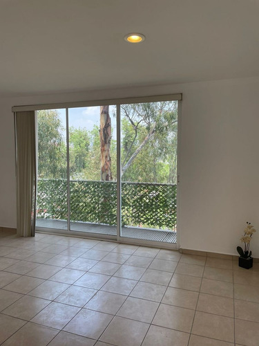 Imagen 22 de 30 de Departamento En Renta Y/o Venta En La Colonia Roma