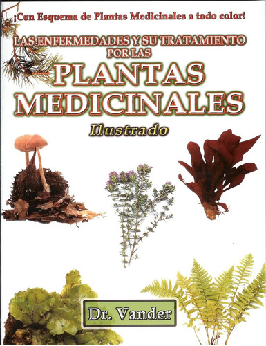 Libro Plantas Medicinales Ilustrado Nuevo