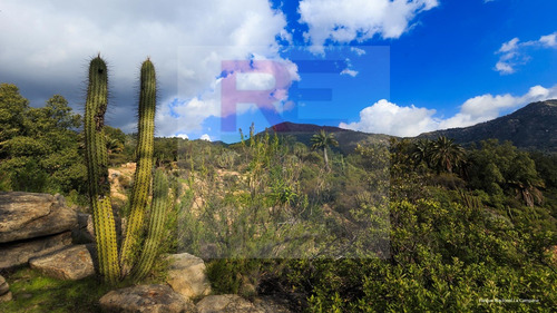 :::: Conecta Con La Tierra. Tranquilidad Y Naturaleza ::::