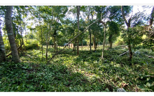 Terreno En Venta En Cobá