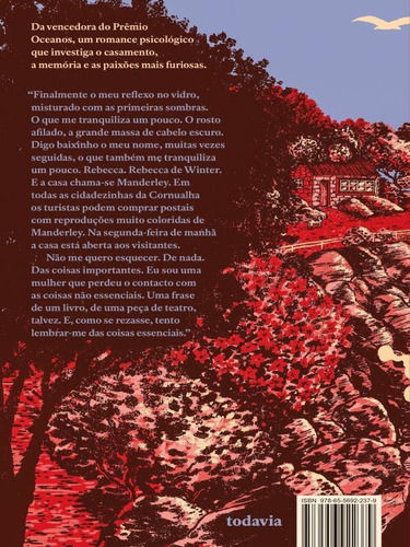 O Verão Selvagem Dos Teus Olhos, De Pereira, Ana Teresa., Vol. 1. Editorial Todavia Editora, Capa Mole Em Português