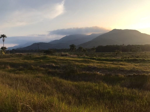 Imagem 28 de 29 de Fazenda À Venda, 3509000 M² Por R$ 2.000.000 - Centro - Pariquera-açu/sp - Fa0216