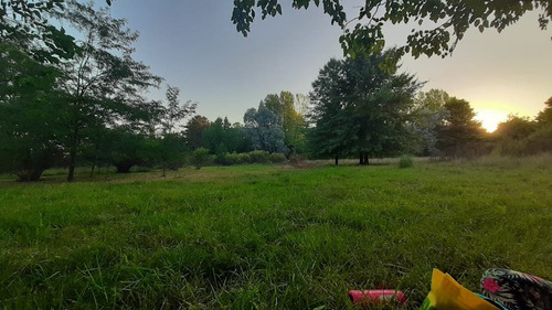 Imagen 4 de 5 de 12.000 Metros La Lonja, Pilar, Zona Norte Fraccion, Terreno, Emprendimiento, Desarrollos