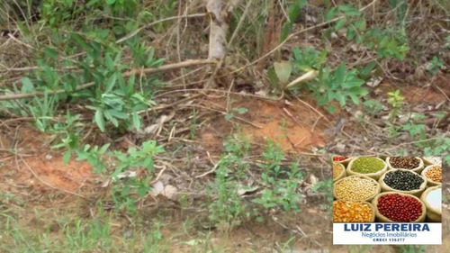 Imagem 3 de 8 de Fazenda A Venda Em Centenário - To, ( Agricultura ) - 590