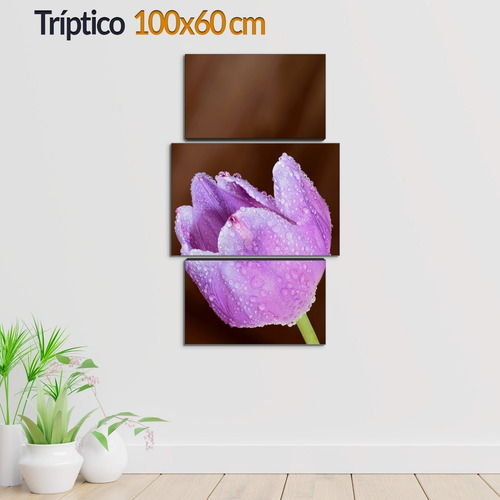 Cuadro Decorativo Moderno Tulipanes Jd-0418 G Tríptico 100x60 Cm Sin Marco