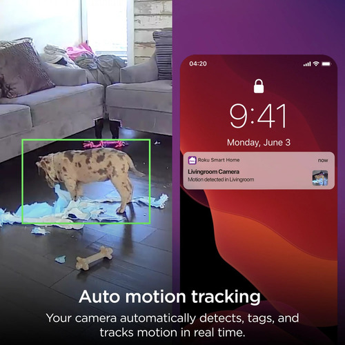 Cámara Seguridad Vigilancia Interiores Roku 1080p