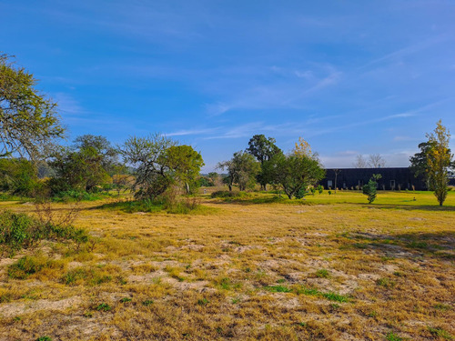 Oportunidad Gran Lote Interno De 3556 M2 Muy Lindas Vistas En Venta - Carmelo Golf