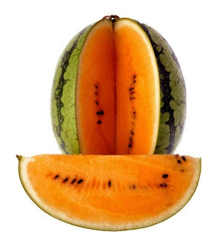 Sementes Melancia Laranja Gigante Tendersweet Watermelon