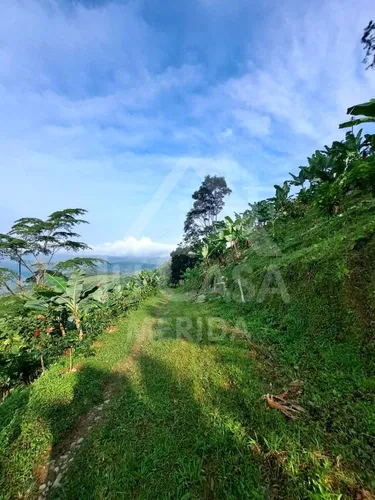 Finca Santa Cruz De Mora