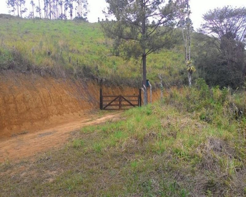 Imagem 10 de 30 de Fazenda - 0195 - 32820324