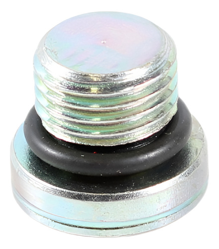 Tapon Block Motor Vertis Tector Iveco 4895605