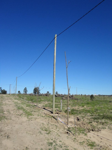Imagen 5 de 6 de Terreno / Lote En Venta - El Remanso - Monte Caseros