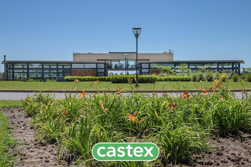 Imagen 5 de 30 de Lote Super Premium Al Lago En Terravista A La Venta