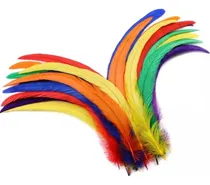 Comprar Plumas De Gallo Naturales Con 50 Plumas 25-30cm Varios Color