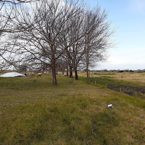 Imagen 11 de 12 de Granja Avícola Ganadera En Venta