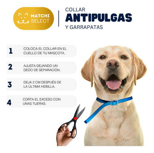 2pack Collar Antipulgas Premium