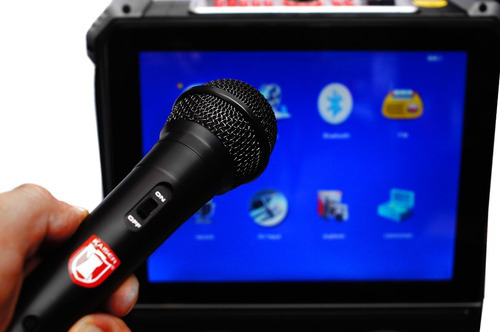 Karaoke Bocina Recargable Pantalla 14 Bluetooth Mic Usb Rec
