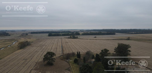 Imagen 5 de 29 de Chacra Agricola En Venta 32 Has- San Pedro