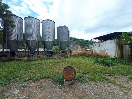 Imagen 6 de 30 de Granja Porcina O Unidad De Producción La Victoria, Aragua.